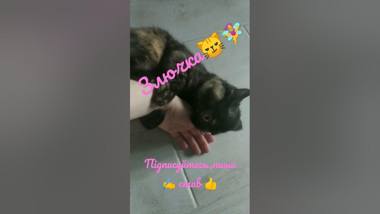 Злючка - YouTube