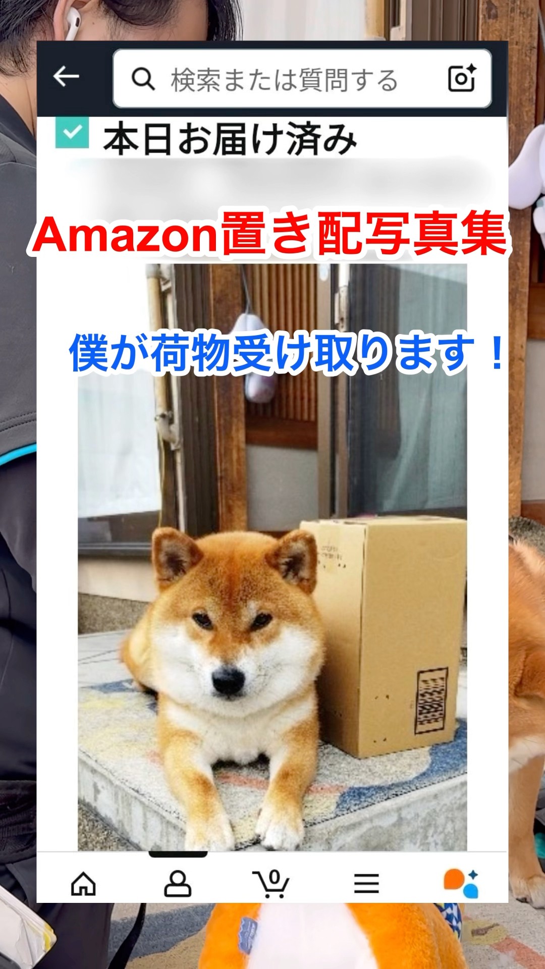 shiba_i39様 リクエスト 2点 まとめ商品 柴犬コインは実用性のないただのミームコイン？｜将来性はあるのか