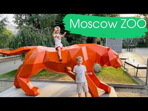 Приехали гулять в