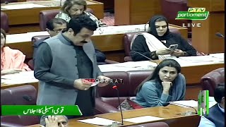 PPP Agha Rafi Ullah Speech in National Assembly | Finance Minister Aurangzeb Khan Reply