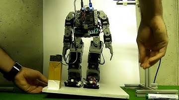 Self balancing Bioloid - Roll variation