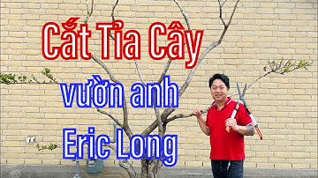 Cắt Tỉa Cây Vườn anh Eric Long | Hieu Tran Gemstone Official