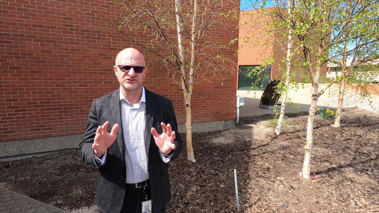 Update on municipal parks and outdoor recreation spaces