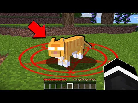 there's-something-wrong-with-this-minecraft-cat...-(prank)