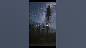 سورة التكاثر كاملة بصوت الشيخ ياسر الدوسري❤❤