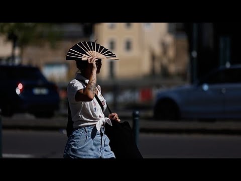 Heatwave and wildfire alerts, power cuts in Finistère: France swelters