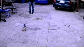 sheldon titan trex 450 pro maiden hover beginner