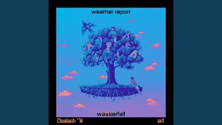 Umbrellas (Live)