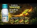 Syngenta Simodis™: इल्ली का End Game! 1 Spray में पूरा कंट्रोल