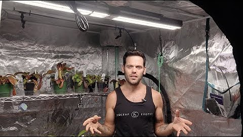 Mars Hydro Grow Tent Update using SP3000 lighting!