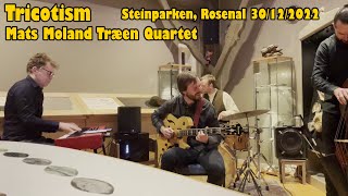 Tricotism - Mats Moland Træen Quartet - Live at Steinparken, Rosendal 20/12/2022