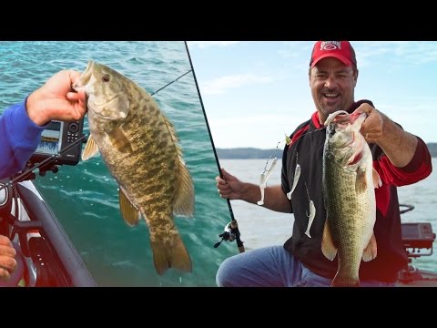 Como Rig e Pesca Umbrella Rigs