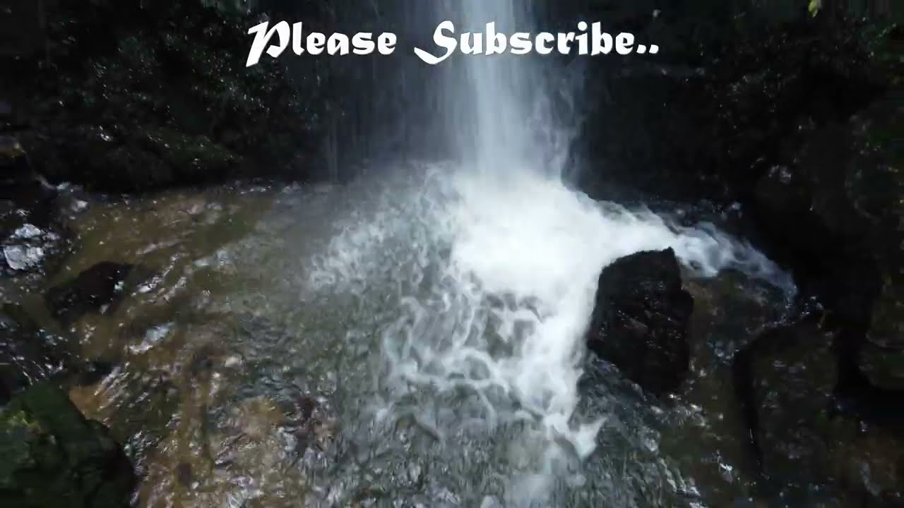 Waterfalls - Percy Scenic Reserve | Lower Hutt New Zealand | DJI Mini 2 HD 4K Drone Video Video vLog