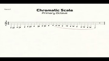 F Horn Chromatic Scale (C-C) Practice in Quarter Notes (primary octave)