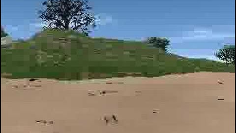 Test render with Vue