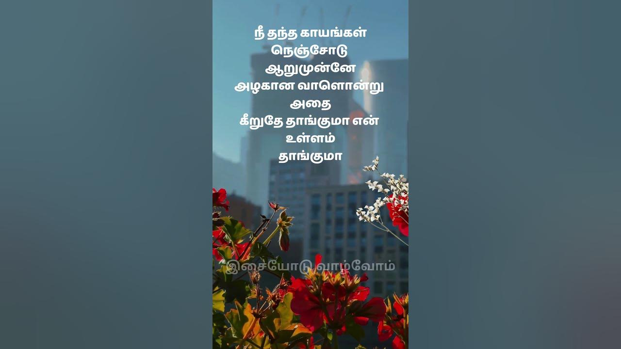 Poosu Manjal (Male) - Kanavae Kalaiyathe | Love Status | Hariharan | Murali | Simran Poosu Manjal (Male) - Kanavae Kalaiyathe | Love Status | Hariharan | Murali | Simran