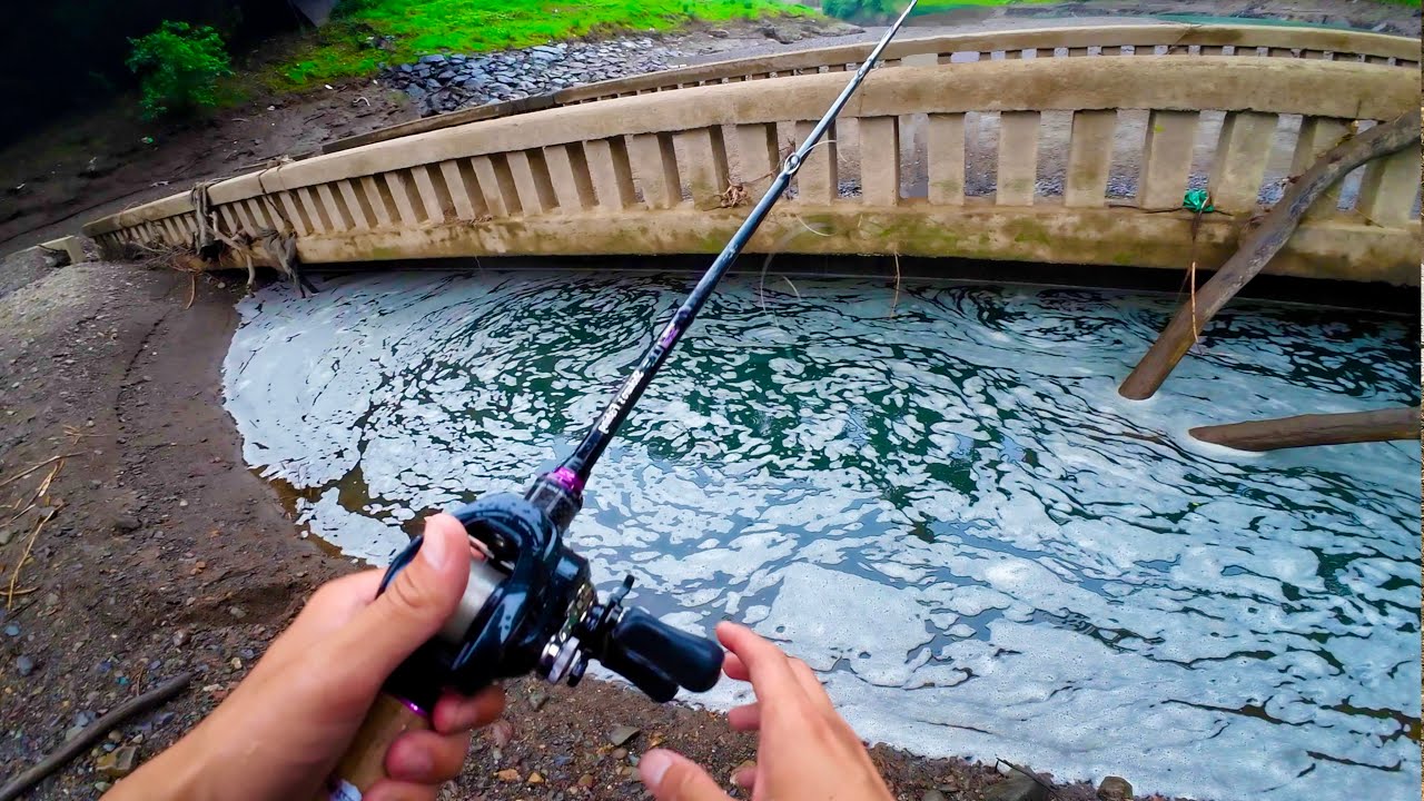 『泡の溜まり場』は怪物の巣窟・・・