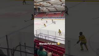 Wonderful P In Hockey