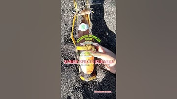 SIRUP JAHE EMPRIT SUMBER BERKAH INDONESIA