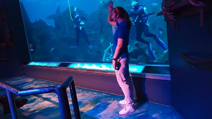 2023 03 05 L Hovs adventure aquarium dive show