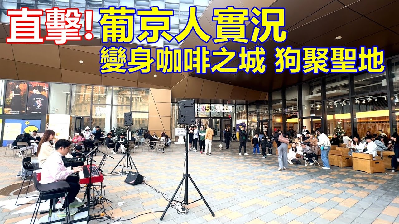 直擊 ! 葡京人實況 變身咖啡之城 狗聚聖地 !