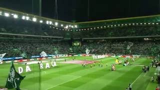 Sporting vs Estoril - O Mundo Sabe Que
