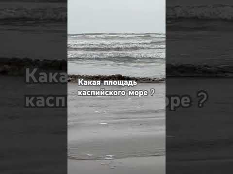 Какая площадь каспийского