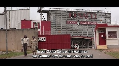 Sustainability at Barry Callebaut: Environment Protection