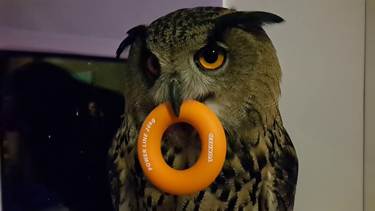 ÐоÑ
ожее изобÑажение