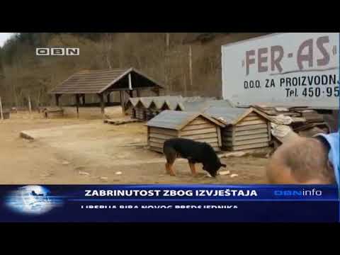 Prilog TV OBN, 10 10 2017 , Stanje u Prači - javni poziv Predstavništva camera iphone 8 plus apk