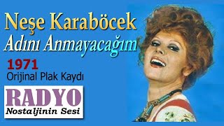 Neşe Karaböcek - Adını Anmayacağım (1971) Resimi