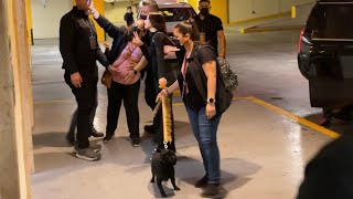 Ángela Aguilar pasea a su perrito Gordo en Monterrey