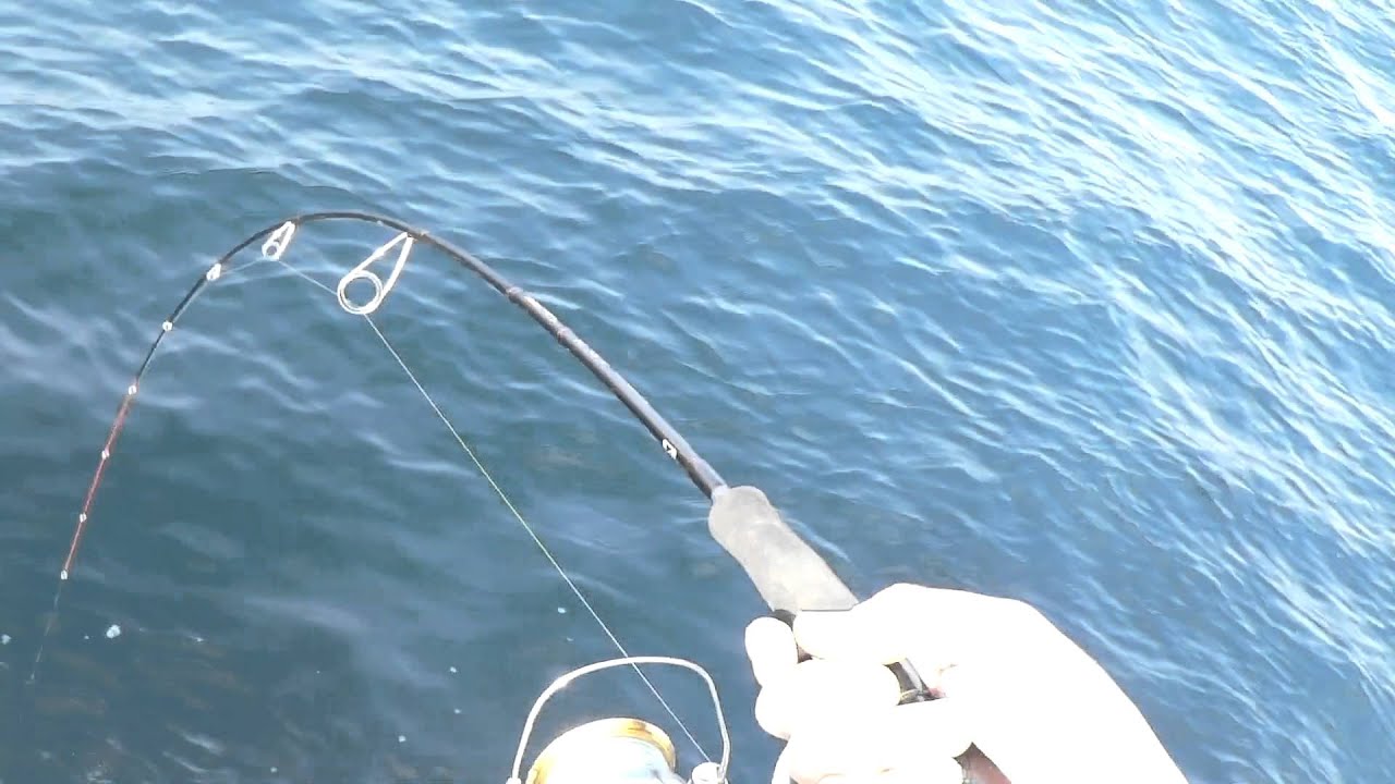 ジグ回収中に青物ヒット 格闘の末にラインブレイク T T Youtube ジグ回収中に青物ヒット 格闘の末にラインブレイク T T Youtube