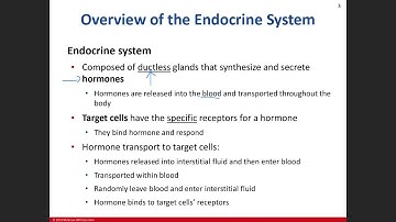 Day 1: Endocrine Chapter 17 Lecture 1/11/21 Part 1