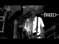 Breed - Nirvana cover by Danny Godwin