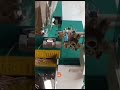 ##agarbatti making machine #machine #shorts #newbusinessideas #song #machine