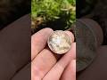 1950&#39;s Silver Quarter Found Buried Below 100+ Year Old Tree Right Downtown! (Metal Detecting Canada)