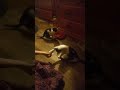 Phillipe vs fidget spinner