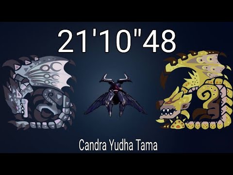 Silver Rathalos I Gold Rathian [Hymn of Moon and Sun] vs Insect Glaive ...