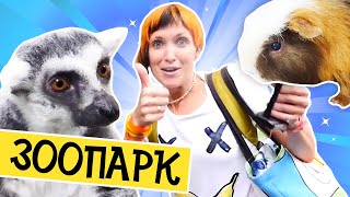 Капуки Кануки Маша и Марк. Контактный зоопарк в Питере. Видео для детей.(Новое видео для детей от GoГулять. Маша #КапукиКануки и Марк покажут, что интересное для детей мы нашли в..., 2016-08-05T08:56:18.000Z)