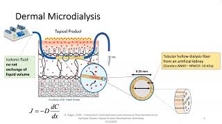 2022 Topical Product Formulation Workshop Session 2 Presentations \& Panel Discussion