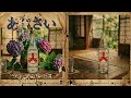 あじさい|サニーデイ・サービス(1960年代)
