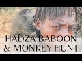 Hadza hunt Vervet Monkeys and Baboons in trees!