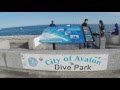 Casino Point Scuba Diving - Avalon, Catalina Island - YouTube
