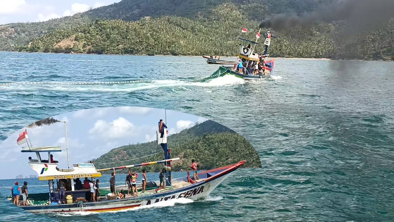 RAME TAWURAN IKAN MASUK TELUK PRIGI || NELAYAN PURSESEIN TRENGGALEK 