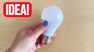 Don't Throw Blown Out Light Bulbs Away! Great Recycling Idea!