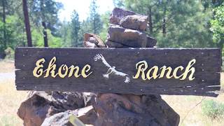 Returning to the Land: An experience of "natural burial"