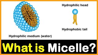 What is Micelle? | Hindi | Dr. Priyank Singhvi