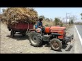 Small tractor loaded heavy dry grass - Dry grass cutting for buffalo&#39;s &amp; cow&#39;s...