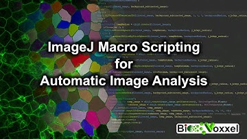 ImageJ Macro Scripting for Automatic Image Analysis Online Course